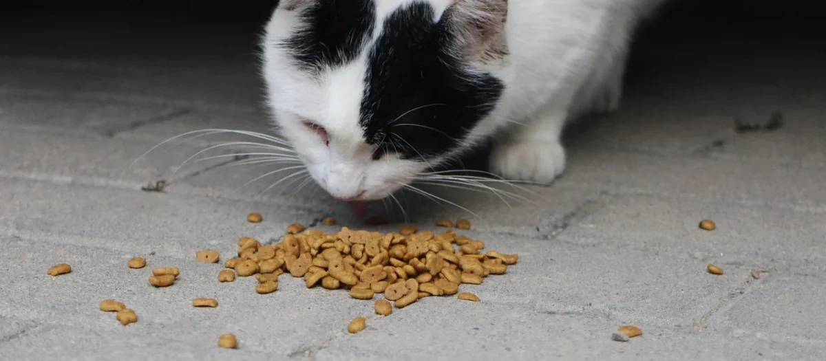 Whiskas Potrawka Smaki Rybne I Tradycyjne W Galaretce Karma Dla Kotów 1+ 4X85G