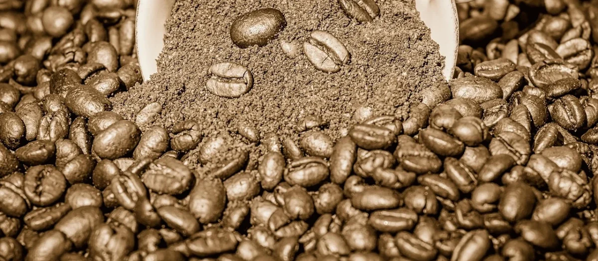 Woseba Café Brasil Kawa palona mielona Arabica 250 g