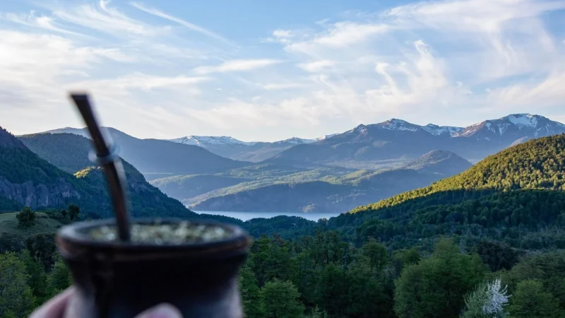Yerba Mate Pajarito Elaborada 500g