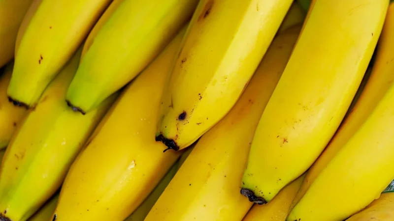 Ziemia okrzemkowa i owoce egzotyczne super smak 200 g