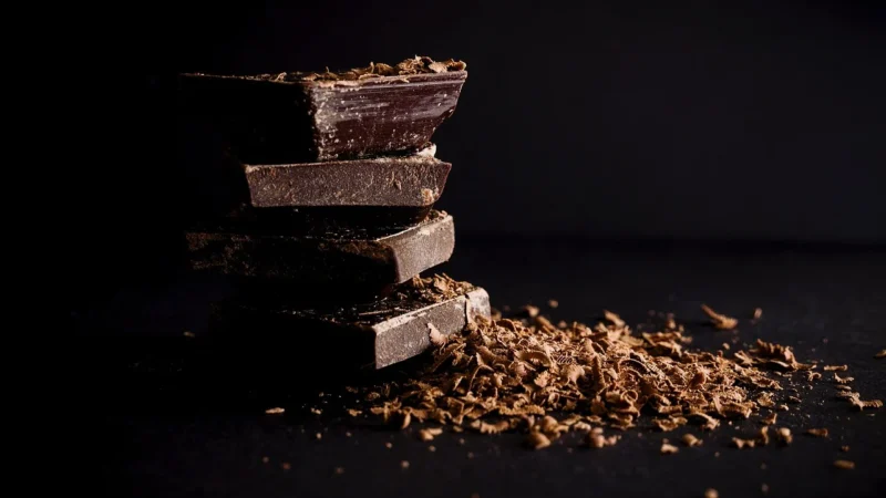 ZOTTER Ciemna czekolada 100% Maya Cacao 2×32,5g
