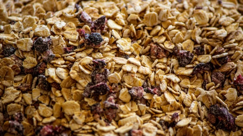 Żywność liofilizowana LYO Food Eko Jaglanka z malinami i aronią